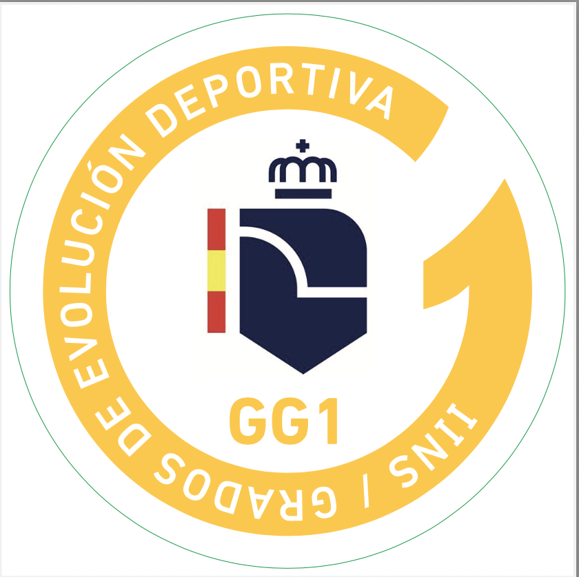 Distintivos Grados Deportivos Boxeo - Imagen 2