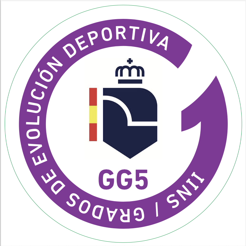 Distintivos Grados Deportivos Boxeo - Imagen 6